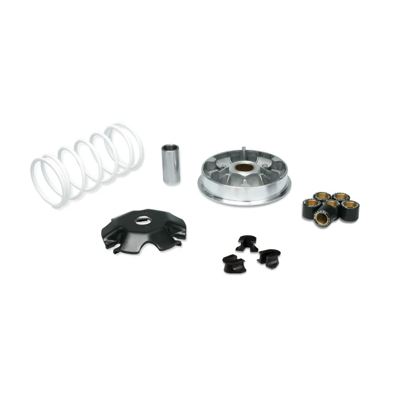 5117717 MALOSSI VARIATORE MULTIVAR 2000 per Honda LEAD 110 4t A Buon Prezzo