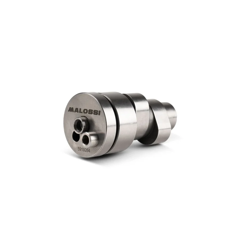 Compra Online 5919264 MALOSSI POWER CAM albero a camme PIAGGIO BEVERLY HPE 300 ie 4T LC