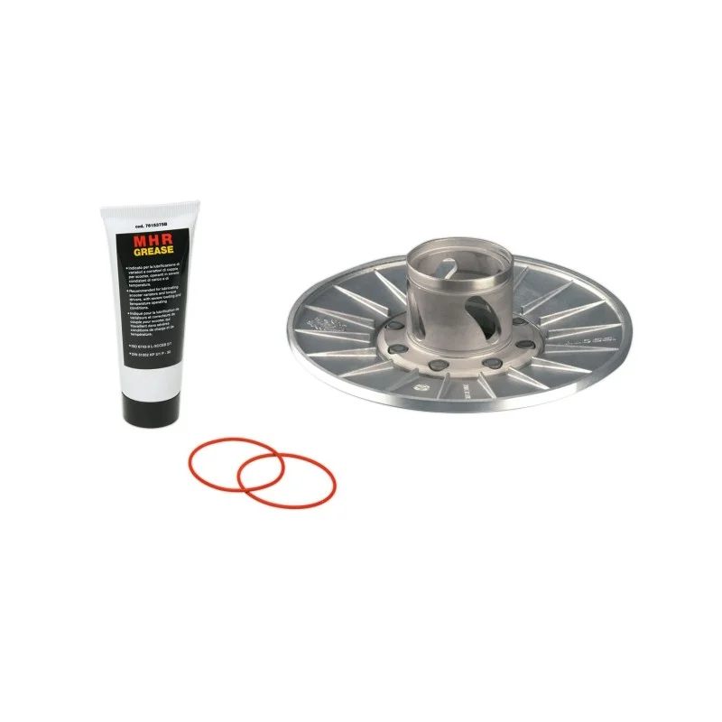 6111763 MALOSSI TORQUE DRIVER 4stroke APRILIA LEONARDO 250 300 4T LC Non Perdere