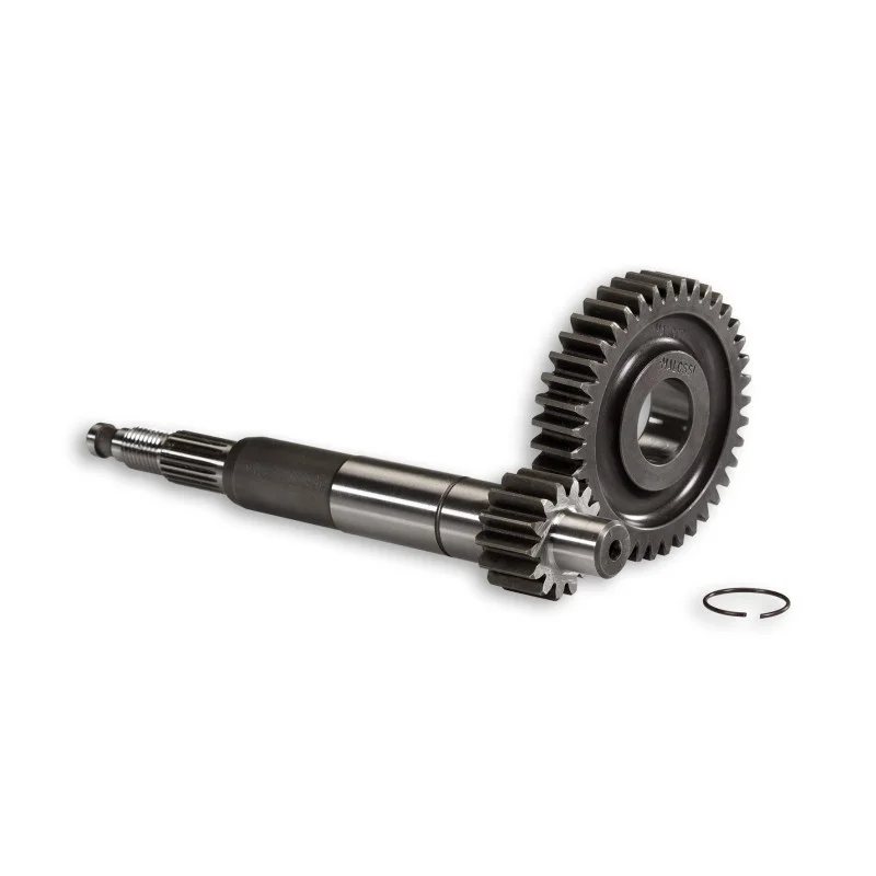 67 9080 MALOSSI INGRANAGGI PRIMARI HTQ z 14/39 (FORZATO-Ø 17) PIAGGIO DIESIS 50 2T Prezzo Conveniente