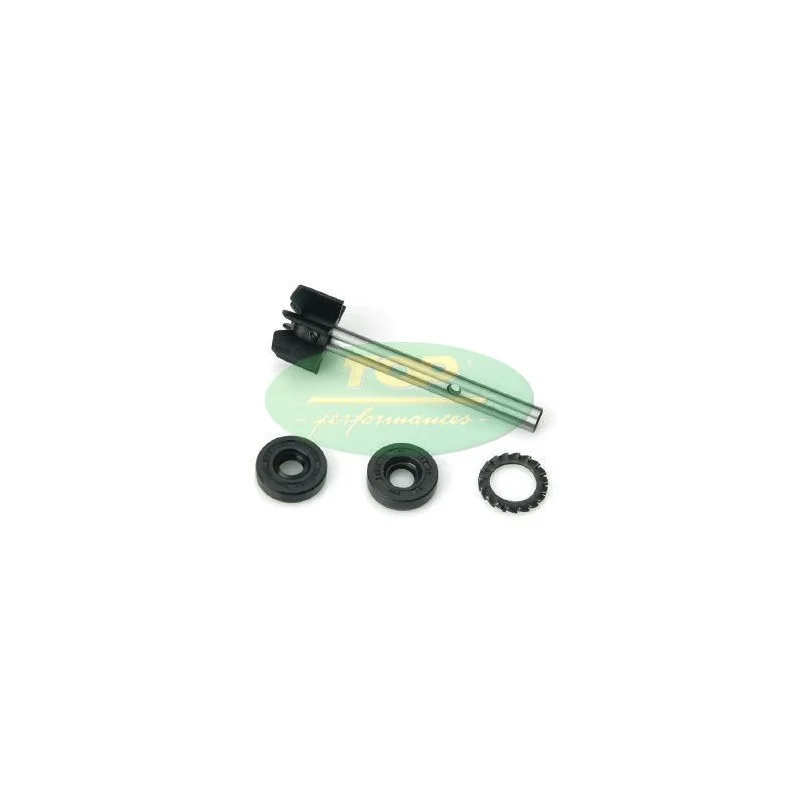 AA00811 TOP PERFORMANCE KIT REVISIONE POMPA H2O APRIL/LEONARDO 125/150 Acquista Ora