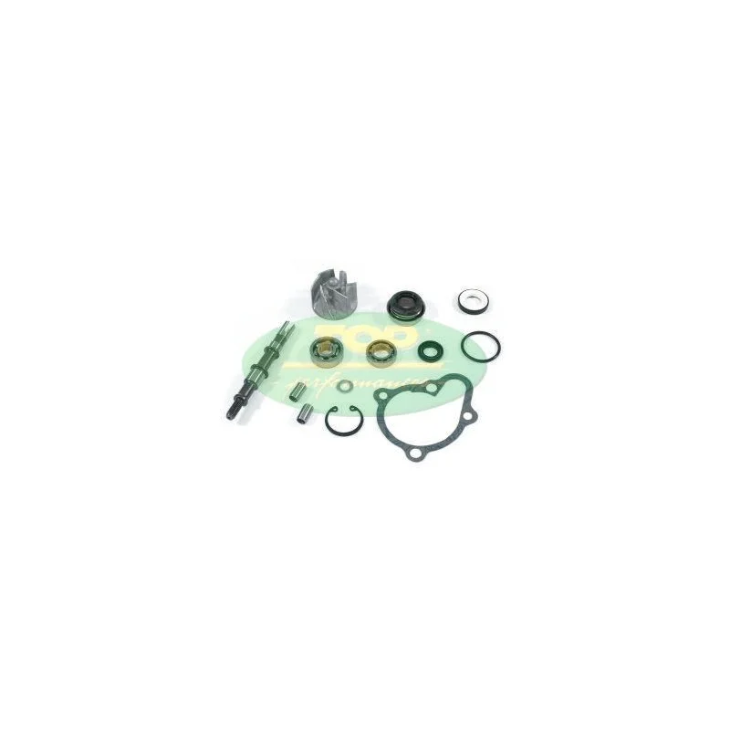 AA00816 TOP PERFORMANCE KIT REVISIONE POMPA H2O KYMCO 250/300cc 4T Super Prezzo