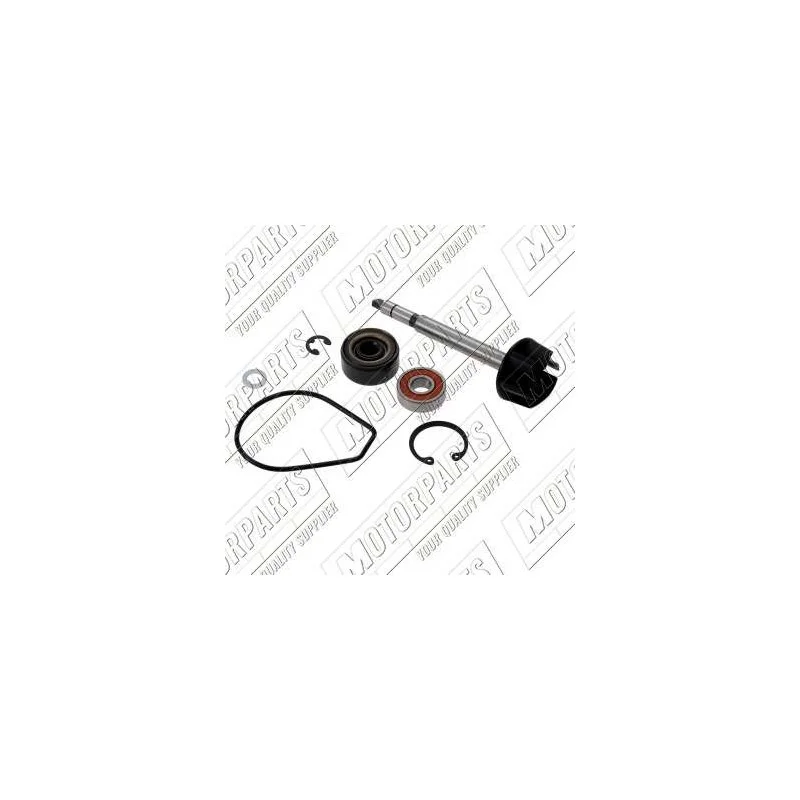 AA00818 TOP PERFORMANCE KIT REVISIONE POMPA H2O YAMAHA MAJESTY / X MAX 400cc Direttamente Dal Produttore
