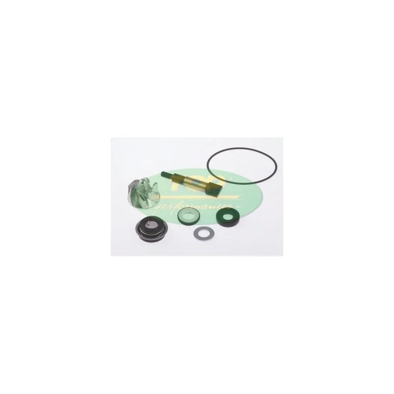 AA00822 TOP PERFORMANCE KIT REVISIONE POMPA H2O HONDA SH 300cc Sconto