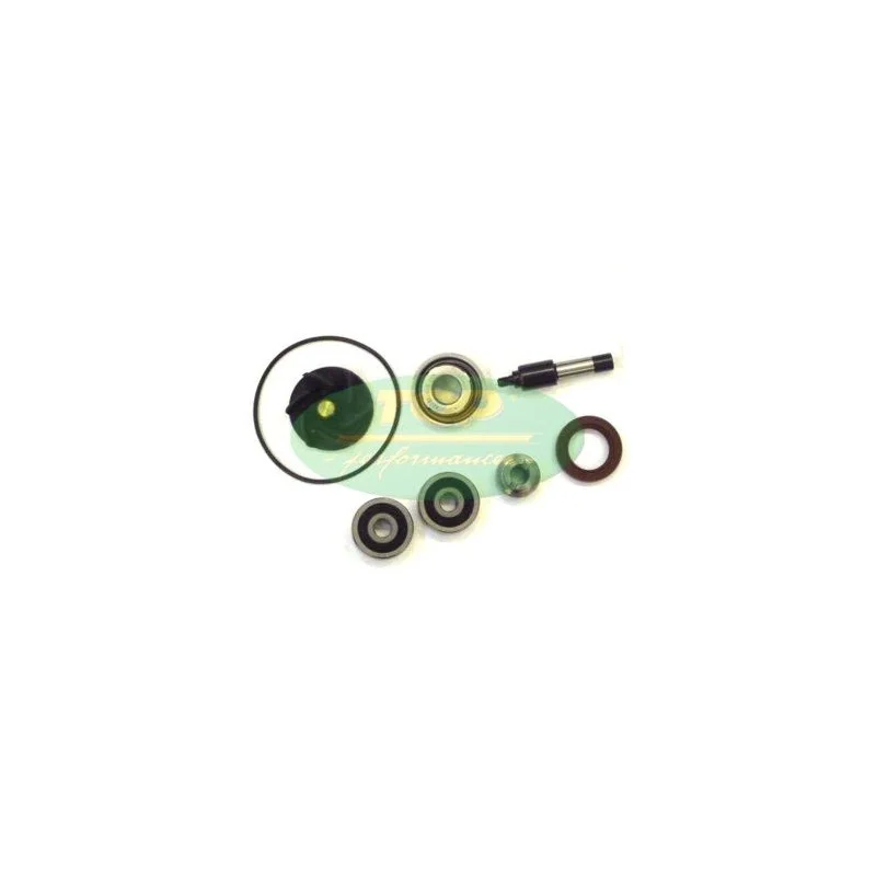AA00828 TOP PERFORMANCE KIT REVISIONE POMPA H2O PIAGGIO 250/300cc Di Tendenza