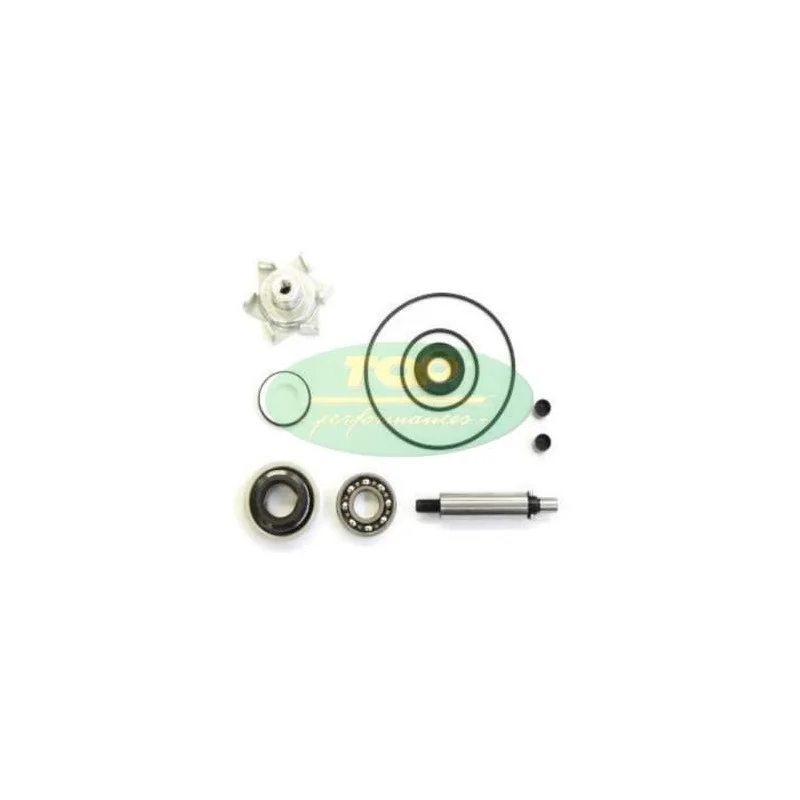AA00834 TOP PERFORMANCE KIT REVISIONE POMPA H2O HONDA PCX 125cc Soddisfatti O Rimborsati