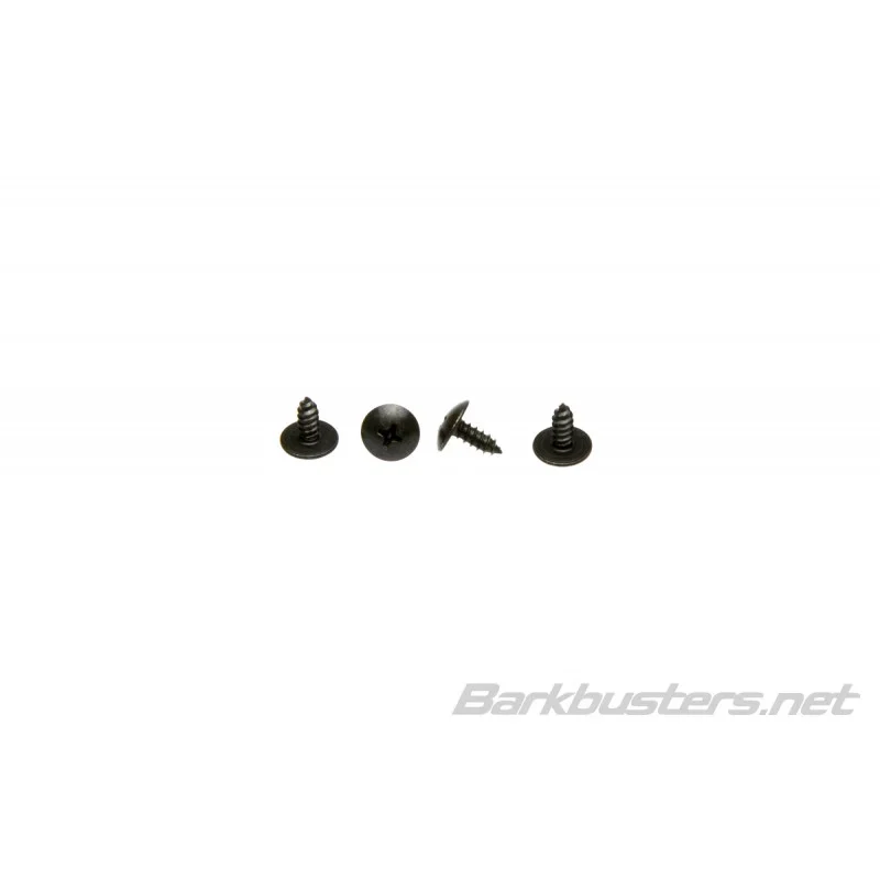 Must-Have Kit montaggio plastica paramani EGO, VPS, JET (KIT 4 VITI) Barkbusters