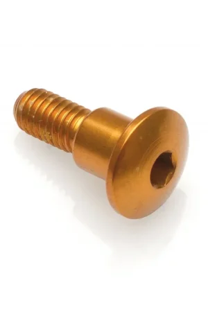 VITE SPECIAL M6 X 25,5 + RIB 8 X 13,5 ORO LIGHTECH Ultima Occasione